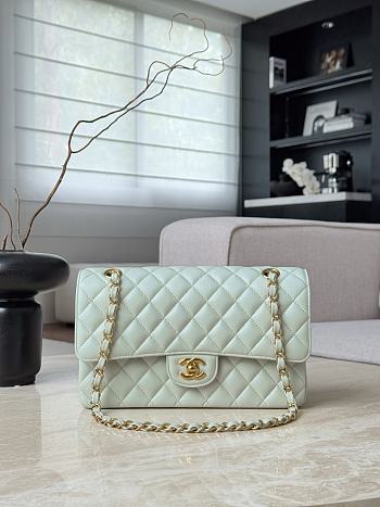 Chanel Classic Light Green Caviar Gold Hardware Bag - 15.5×25.5×6.5cm