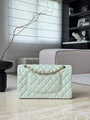 Chanel Classic Light Green Caviar Gold Hardware Bag - 15.5×25.5×6.5cm - 5