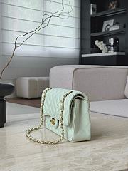 Chanel Classic Light Green Caviar Gold Hardware Bag - 15.5×25.5×6.5cm - 3