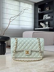 Chanel Classic Light Green Caviar Gold Hardware Bag - 15.5×25.5×6.5cm - 4