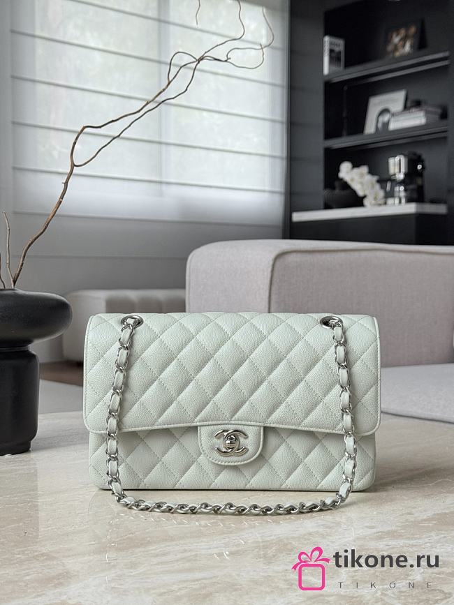 Chanel Classic Light Green Caviar Silver Hardware Bag - 15.5×25.5×6.5cm - 1