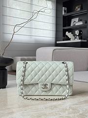 Chanel Classic Light Green Caviar Silver Hardware Bag - 15.5×25.5×6.5cm - 1