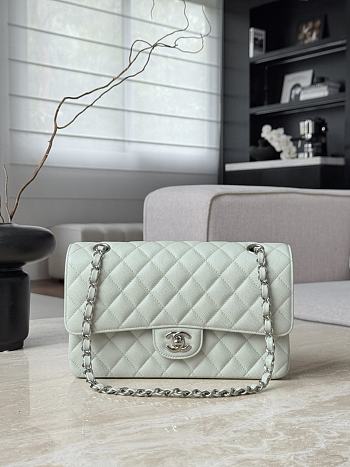 Chanel Classic Light Green Caviar Silver Hardware Bag - 15.5×25.5×6.5cm