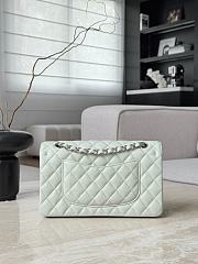 Chanel Classic Light Green Caviar Silver Hardware Bag - 15.5×25.5×6.5cm - 2