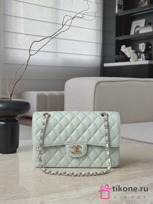 Chanel Classic Light Green Caviar Light Gold Hardware Bag - 14.5x23x6cm - 1