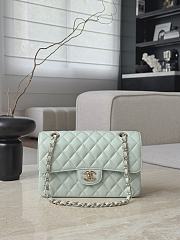Chanel Classic Light Green Caviar Light Gold Hardware Bag - 14.5x23x6cm - 1