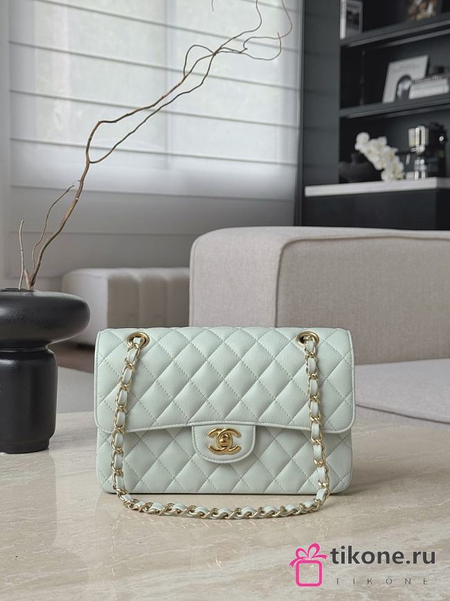 Chanel Classic Light Green Caviar Gold Hardware Bag - 14.5x23x6cm - 1