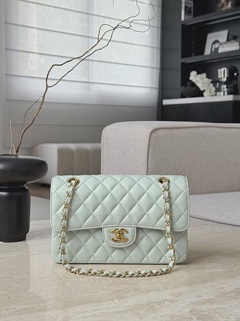 Chanel Classic Light Green Caviar Gold Hardware Bag - 14.5x23x6cm