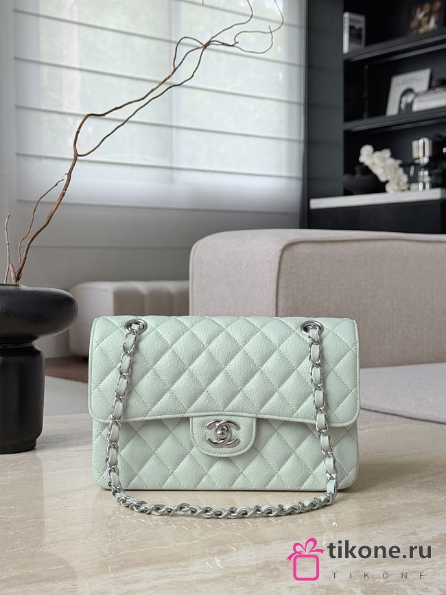 Chanel Classic Light Green Caviar Silver Hardware Bag - 14.5x23x6cm - 1