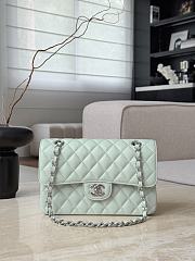 Chanel Classic Light Green Caviar Silver Hardware Bag - 14.5x23x6cm - 1