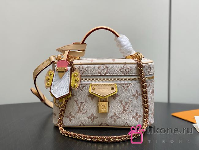 LV Vanity Chain Pouch Monogram Dune M29782 - 19x11.5x6.5cm - 1