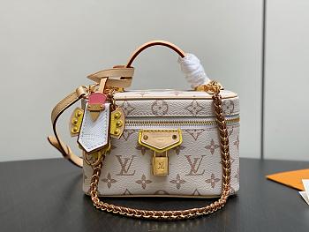 LV Vanity Chain Pouch Monogram Dune M29782 - 19x11.5x6.5cm