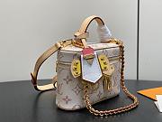 LV Vanity Chain Pouch Monogram Dune M29782 - 19x11.5x6.5cm - 4