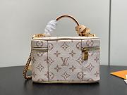 LV Vanity Chain Pouch Monogram Dune M29782 - 19x11.5x6.5cm - 2