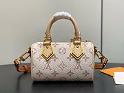 LV Nano Speedy Monogram Dune M29781 - 16x12.5x10cm - 4