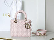Small Lady Dior Bag with Strap Rose Tendre Cannage Lambskin Bow - 20x18x8cm - 4