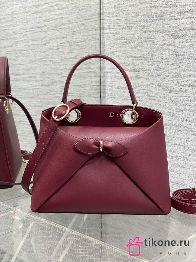 Small Dior Cigale Bag Shiny Supple Calfskin Burgundy - 28x18x8cm - 1