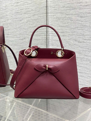 Small Dior Cigale Bag Shiny Supple Calfskin Burgundy - 28x18x8cm