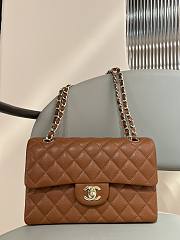 Chanel Classic Camel Lamskin Gold Hardware Bag - 14.5x23x6cm - 3