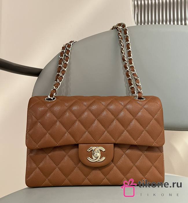 Chanel Classic Camel Lamskin Gold Hardware Bag - 14.5x23x6cm - 1