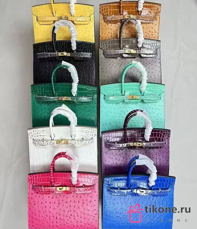 SALE Hermes Birkin 25/30 Ostrich and Crocodile Embossed Calfskin Leather - 1