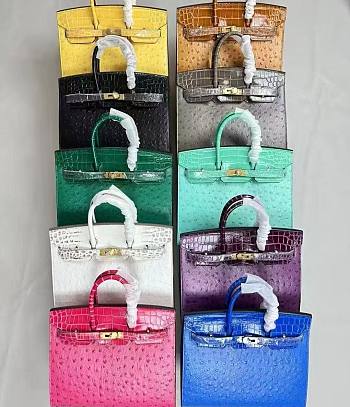 SALE Hermes Birkin 25/30 Ostrich and Crocodile Embossed Calfskin Leather