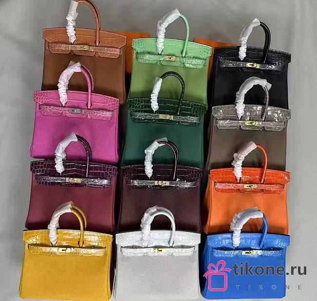 SALE Hermes Birkin 25/30 Togo and Crocodile Embossed Calfskin Leather - 1
