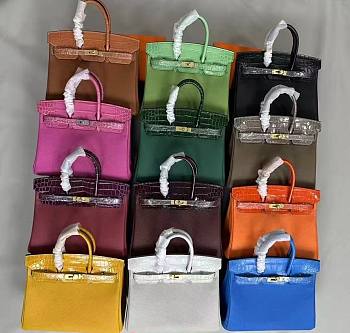 SALE Hermes Birkin 25/30 Togo and Crocodile Embossed Calfskin Leather