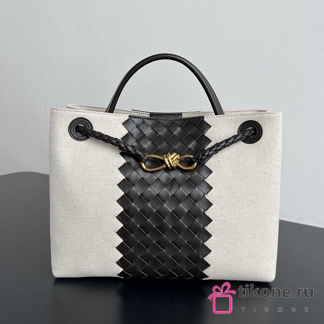  Bottega Veneta Andiamo in Natural/Espresso - 32x25x11cm - 1