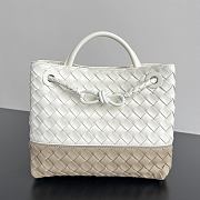 Bottega Veneta Small Andiamo Alabaster/Ecru - 25x20x10cm - 1