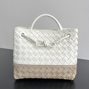 Bottega Veneta Small Andiamo Alabaster/Ecru - 25x20x10cm