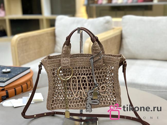 Chloe Small Summer Banana East-West Tote Bag With Strap in Raffia Summery Beige - 27x18x9cm - 1