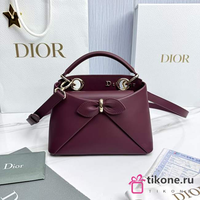 Mini Dior Cigale Bag Shiny Supple Calfskin Deep Amaranth - 21.5x7.5x15cm - 1