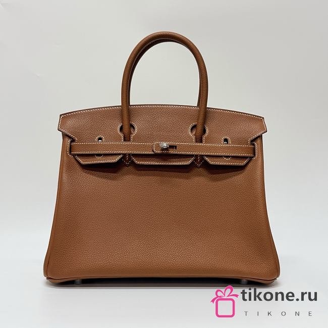 Hermes Birkin 25 Togo Leather Silver Hardware Gold - 25x20x13cm - 1