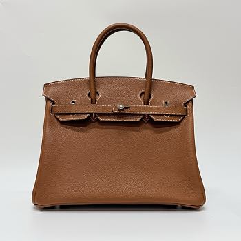 Hermes Birkin 25 Togo Leather Silver Hardware Gold - 25x20x13cm