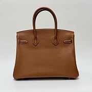 Hermes Birkin 25 Togo Leather Silver Hardware Gold - 25x20x13cm - 2
