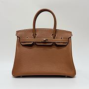 Hermes Birkin 25 Togo Leather Silver Hardware Gold - 25x20x13cm - 3
