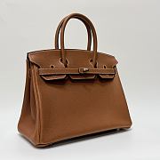 Hermes Birkin 25 Togo Leather Silver Hardware Gold - 25x20x13cm - 5