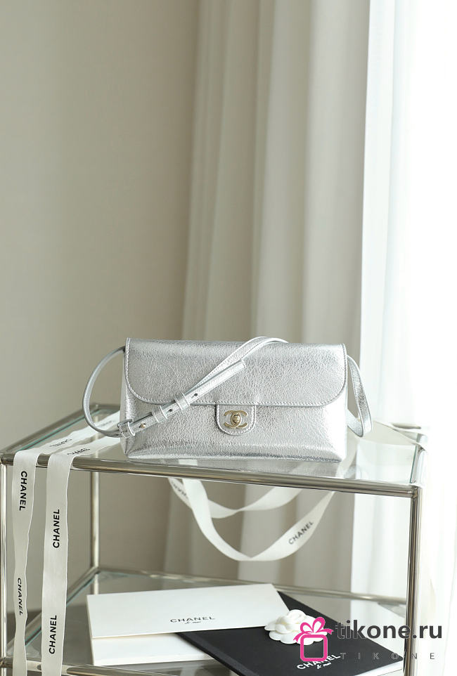 Chanel Clutch with Leather Strap Metallic Calfskin & Gold Metal Silvery AP5568 - 23.5x12.5x5.5cm - 1