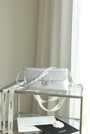 Chanel Clutch with Leather Strap Metallic Calfskin & Gold Metal Silvery AP5568 - 23.5x12.5x5.5cm
