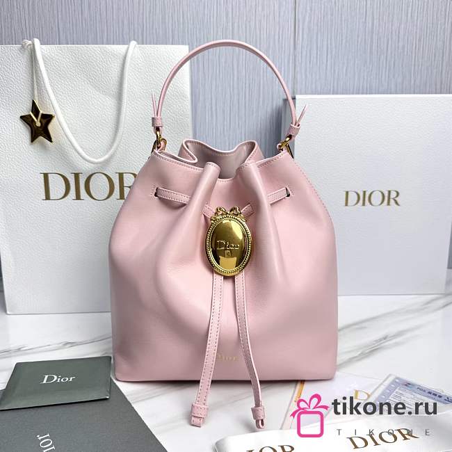 Dior Médaillon Bucket Bag Ballet Pink Smooth Calfskin - 27x24x12.5cm - 1