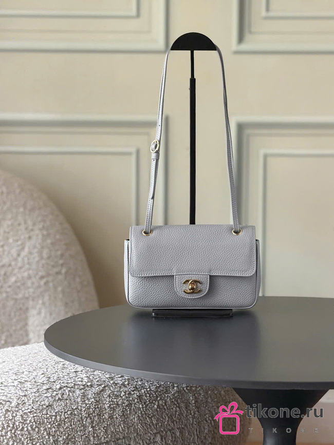 Chanel Mini Flap Bag Grained Calfskin & Gold-Tone Metal Gray AS6573 - 13x20x6cm - 1