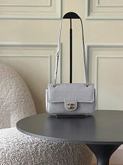 Chanel Mini Flap Bag Grained Calfskin & Gold-Tone Metal Gray AS6573 - 13x20x6cm - 1