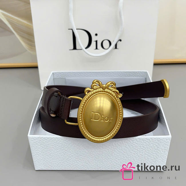 Dior Medaillon Belt Cocoa Smooth Calfskin 25mm - 1