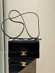 Celine Le 17 In Calfskin Black - 27.5x15x14cm - 1